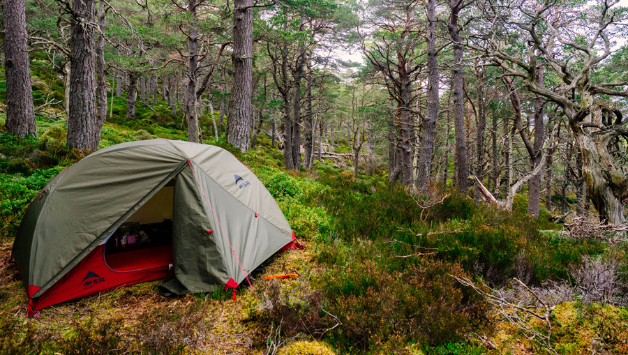 MSR Elixir 3 V2 Backpacking Tent with Footprint